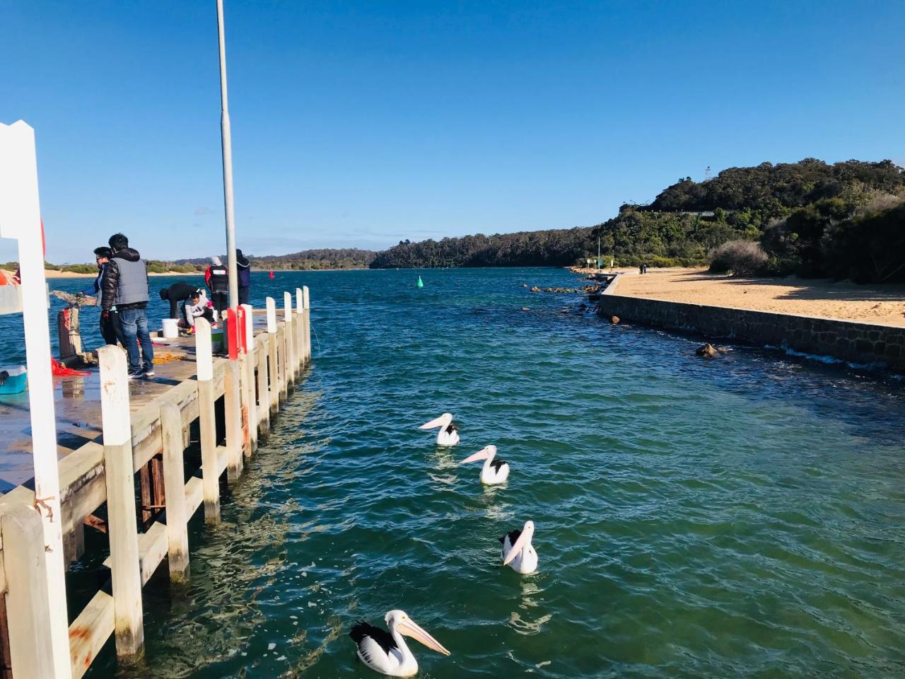 Black Swan Motor Inn Lakes Entrance Exterior photo